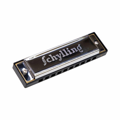 Blues Harmonica in a Case - Little Pickles Toy Store