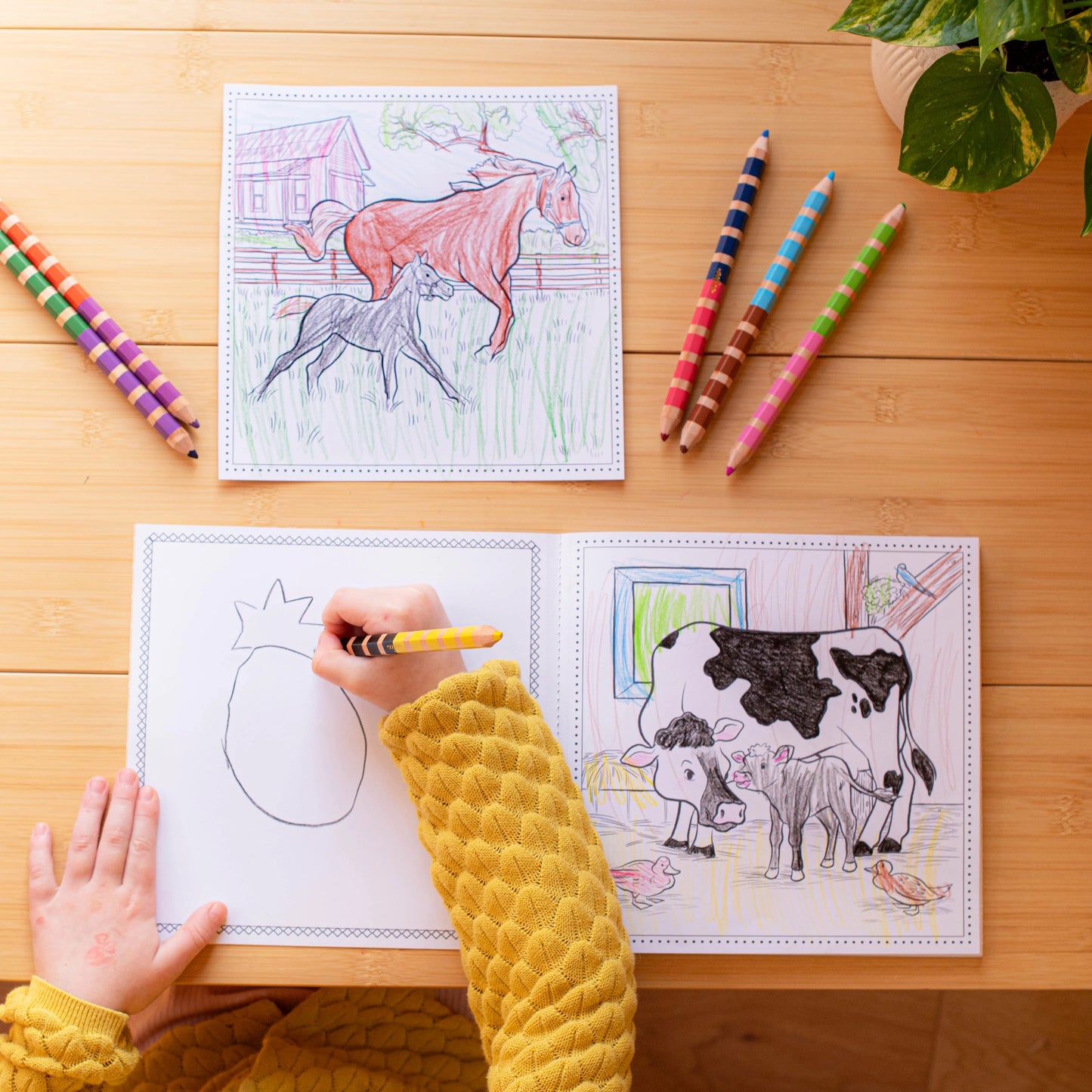 Early Learner Coloring Book