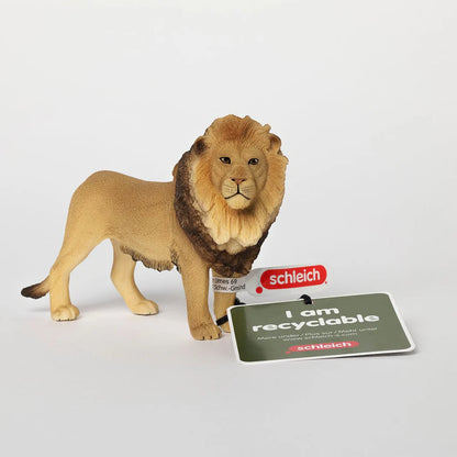Schleich Lion - Little Pickles Toy Store