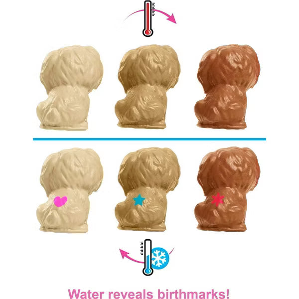 Barbie Doll & Pets Playset - Newborn Pups (Dark Skin)