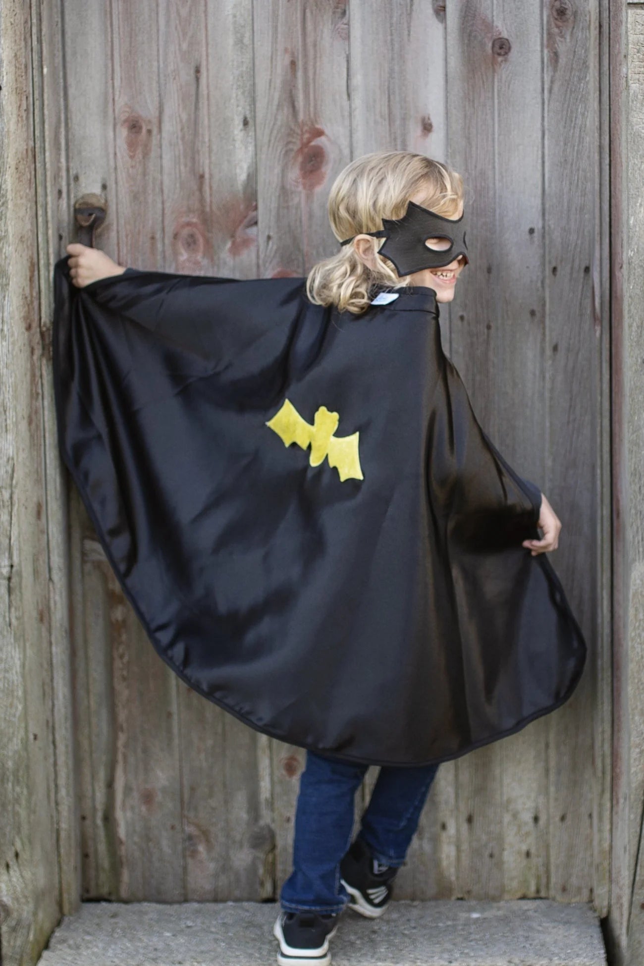 Reversible Spider/Bat Cape & Mask