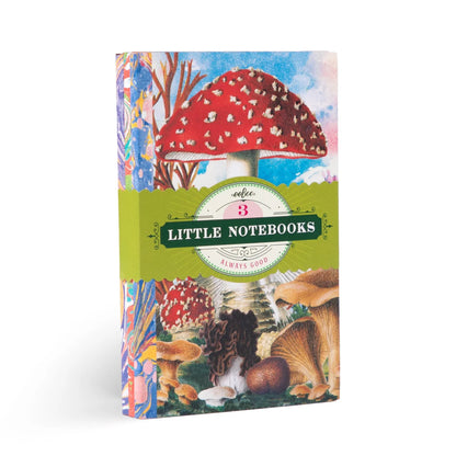 Fumiha’s Little Book Set - Little Pickles Toy Store
