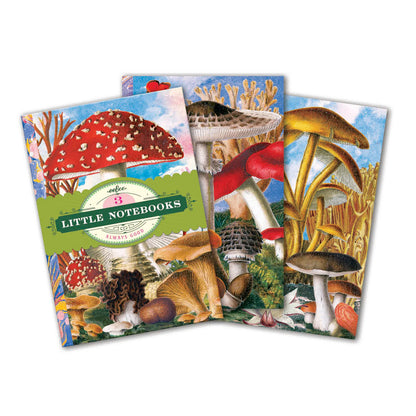 Fumiha’s Little Book Set - Little Pickles Toy Store