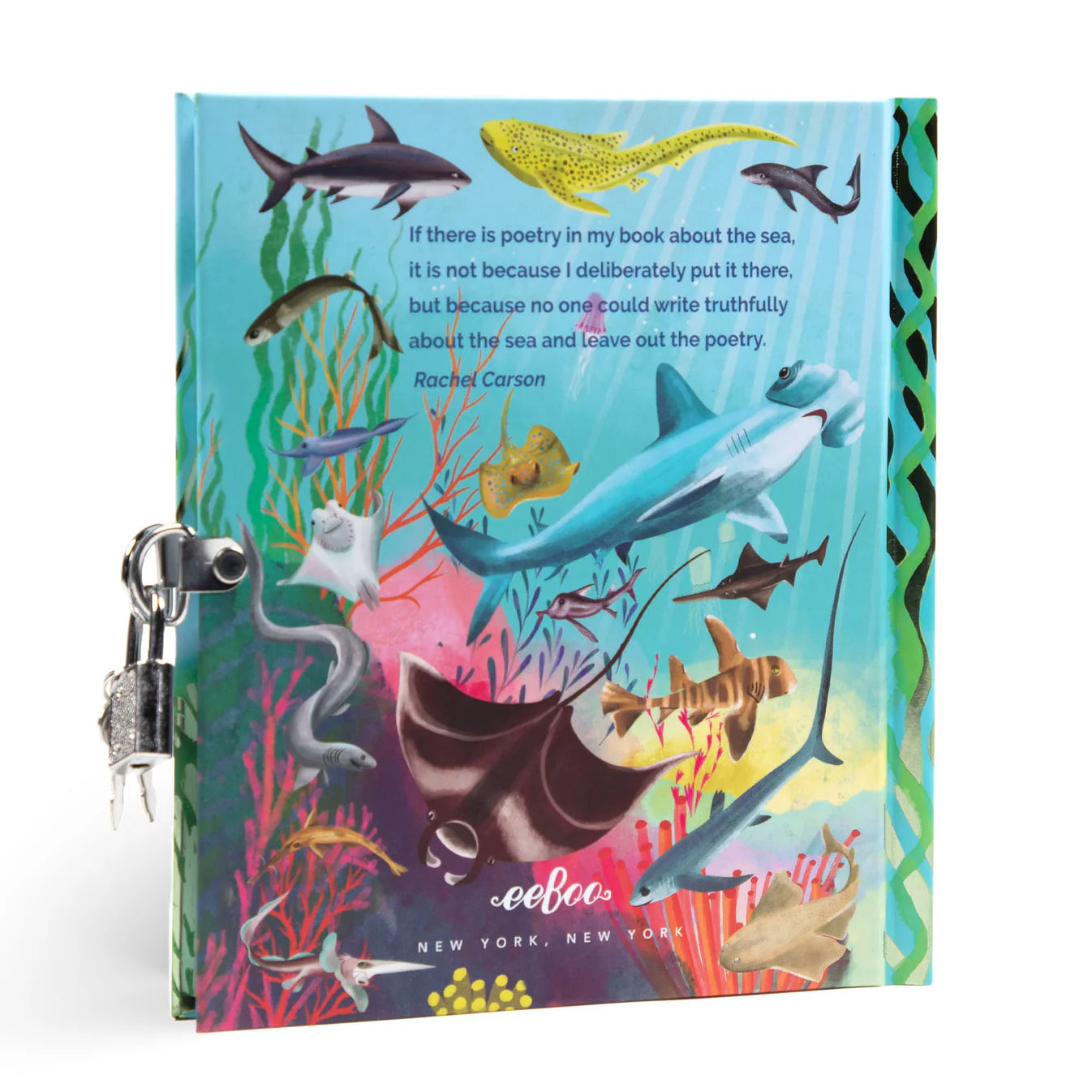 Shark & Friends Journal