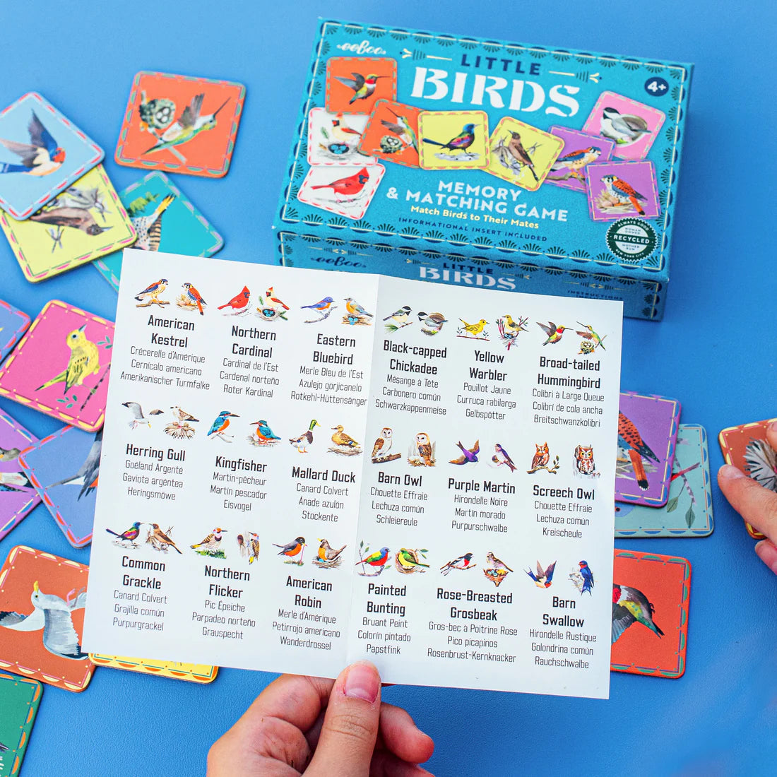 Little Birds Matching Game