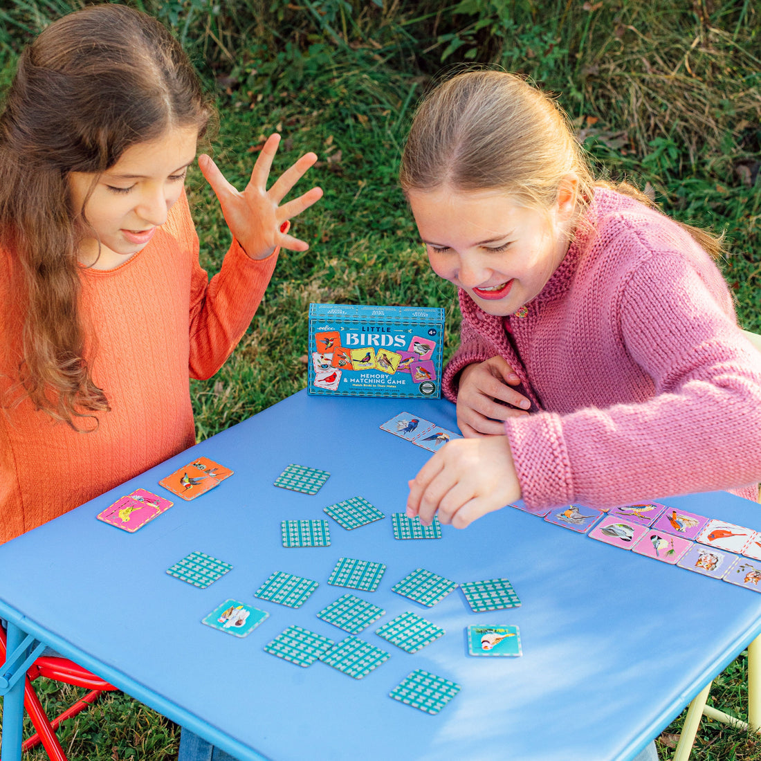 Little Birds Matching Game