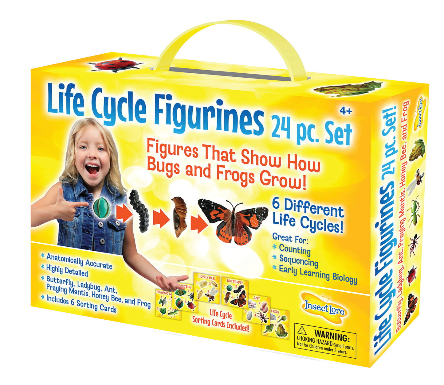 Life Cycle Figurines 24 Piece Set