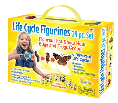 Life Cycle Figurines 24 Piece Set - Little Pickles Toy Store