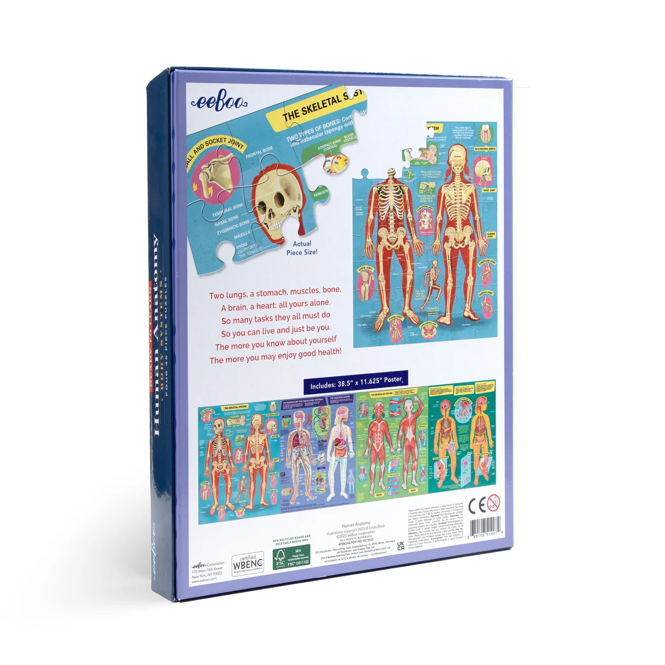 Ready To Learn - Human Anatomy 4 Puzzle 48 Piece Set