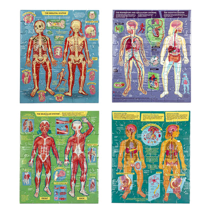 Ready To Learn - Human Anatomy 4 Puzzle 48 Piece Set - Little Pickles Toy Store