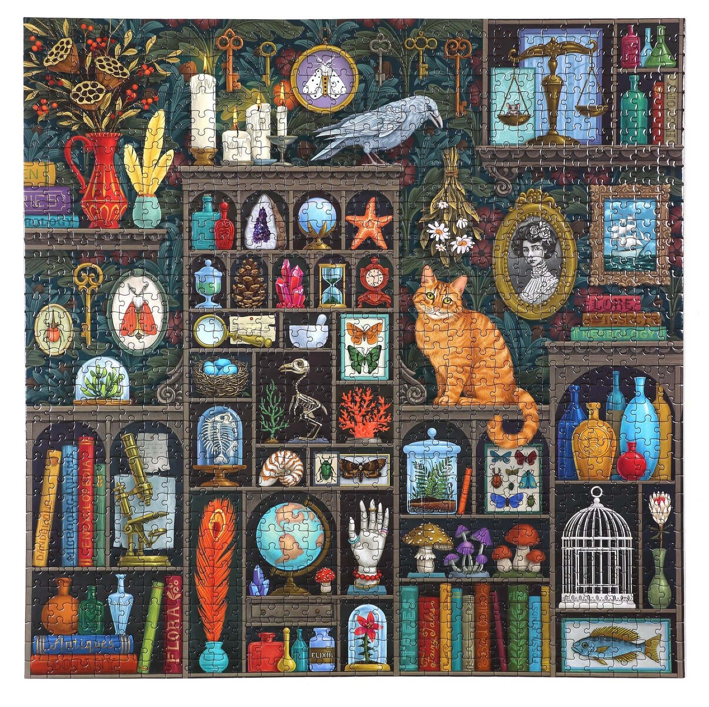 Alchemist's Cabinet 1000 pc Puzzle