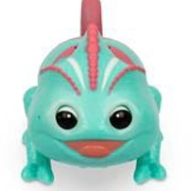 Little Live Pets - Candy Series