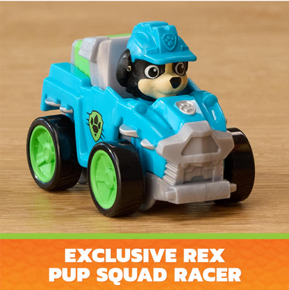 Paw Patrol Pup Squad Dino Crew