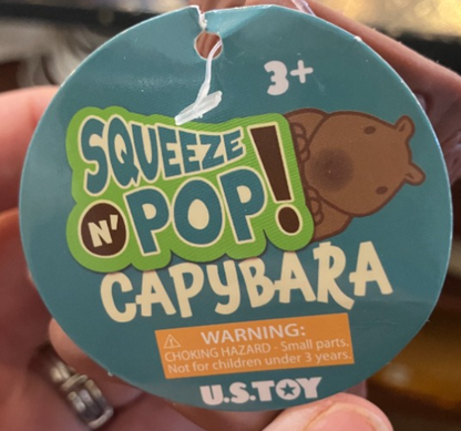 Squeeze n' Pop Capybara