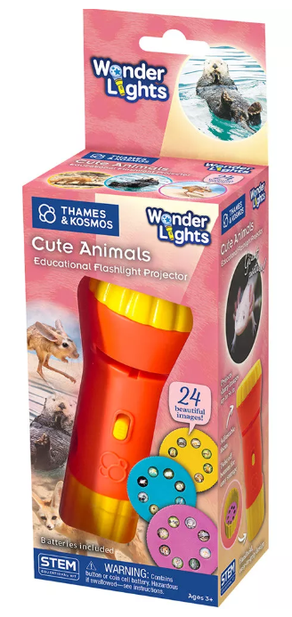 Wonder Lights