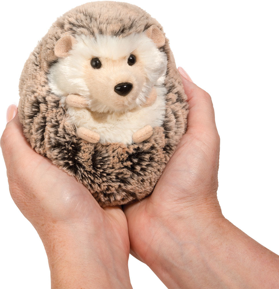Spunky Hedgehog Small