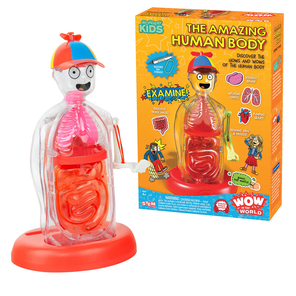 Wow in the World: The Amazing Human Body