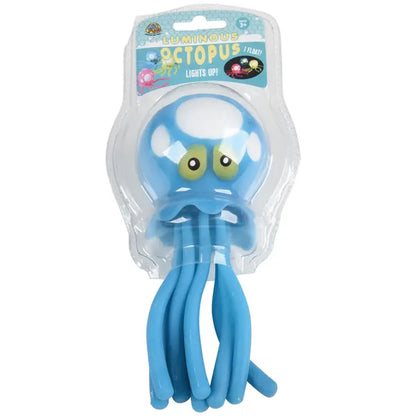 Luminous Octopus