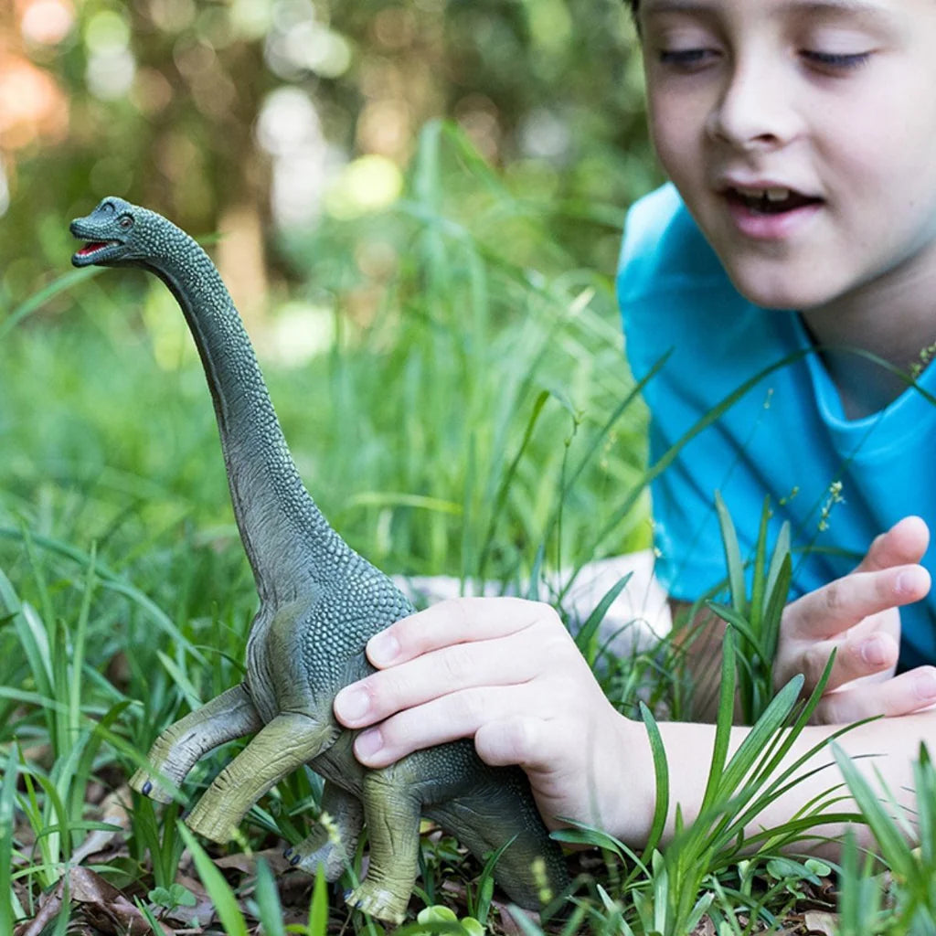 Schleich Dinosaurs Brachiosaurus