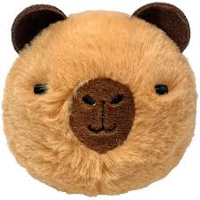 Beanie Bouncer