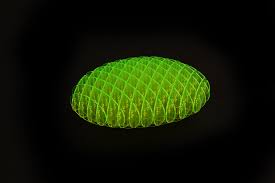 Morf Fidget Worm - Small - Little Pickles Toy Store