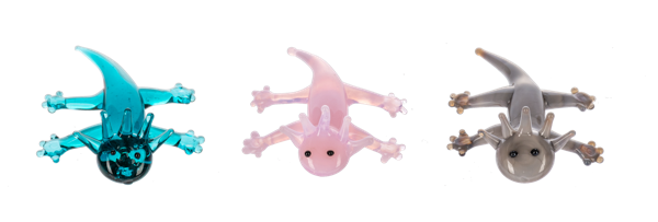 Amazing Axolotl Pocket Charm - Assorted Colors