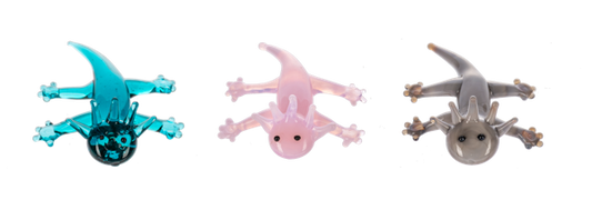 Amazing Axolotl Pocket Charm - Assorted Colors