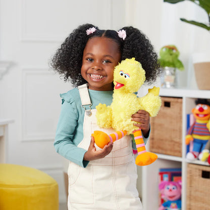 Big Bird, 14 in - Little Pickles Toy Store