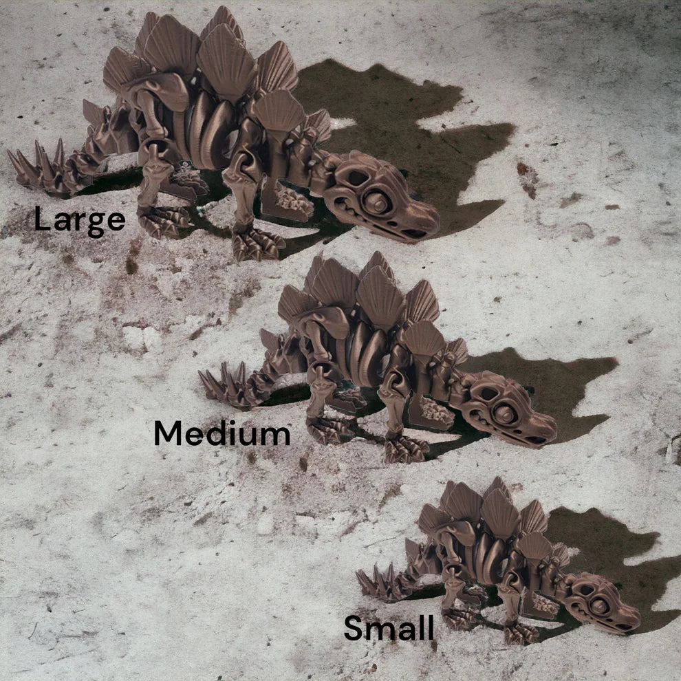 Skeletal Stegosaurus