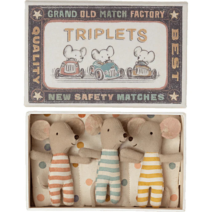 Triplets, Baby Mice in Matchbox