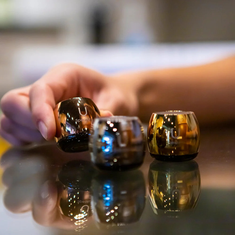 Micro Wireless Speaker - Mirror - Little Pickles Toy Store