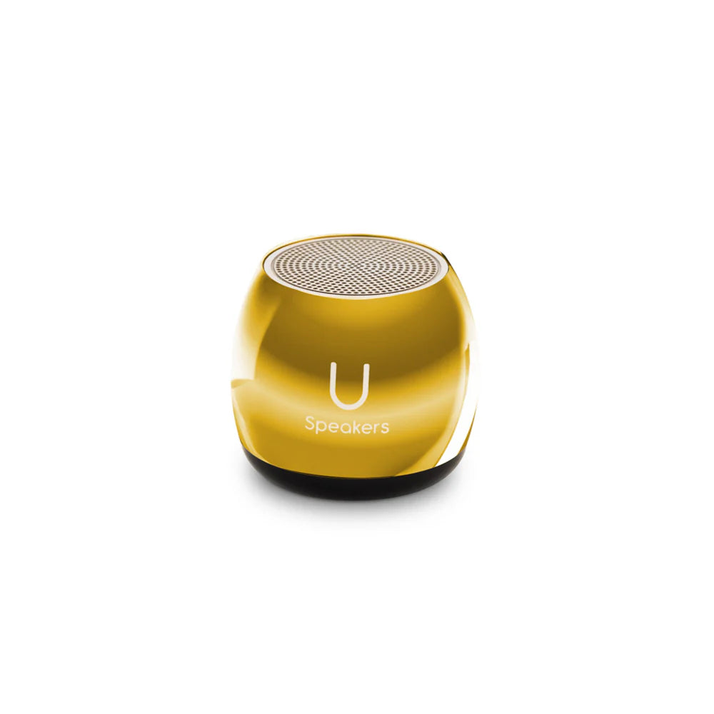 Micro Wireless Speaker - Mirror - Little Pickles Toy Store