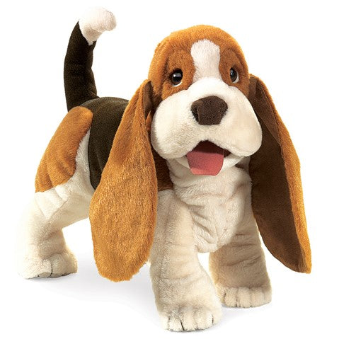 HOUND, BASSET