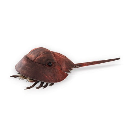 Horseshoe Crab Hand Puppet - Little Pickles Toy Store