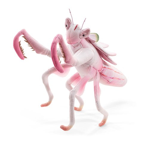 Orchid Mantis