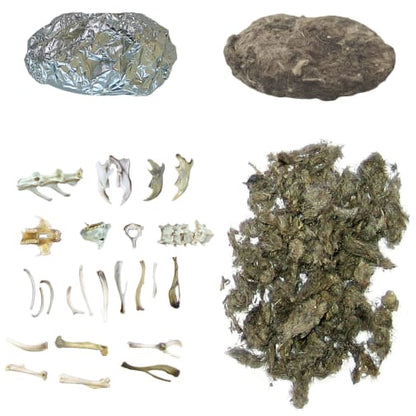 Copernicus A Collection of Owl Pellets