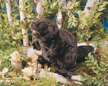 Beaver Hand Puppet - Little Pickles Toy Store