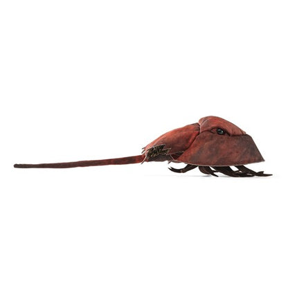 Horseshoe Crab Hand Puppet - Little Pickles Toy Store