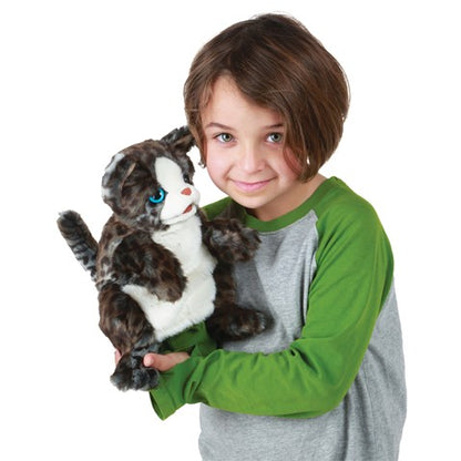 Wildcat Kitten Hand Puppet - Little Pickles Toy Store