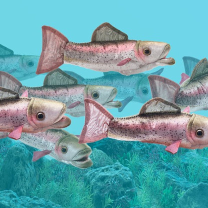 Rainbow Trout Finger Puppet - Little Pickles Toy Store