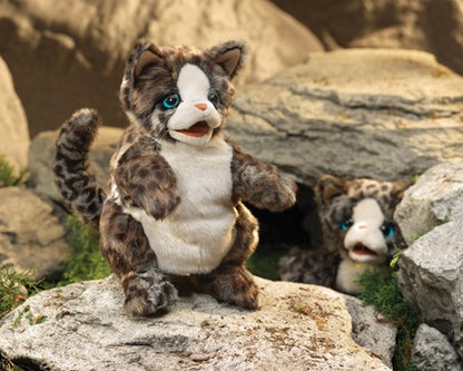 Wildcat Kitten Hand Puppet - Little Pickles Toy Store