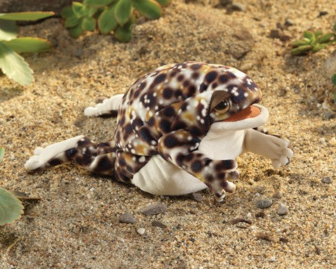 Desert Rain Frog Hand Puppet