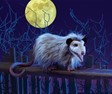 Opossum Hand Puppet