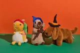 Halloween Dachshund Muzzle