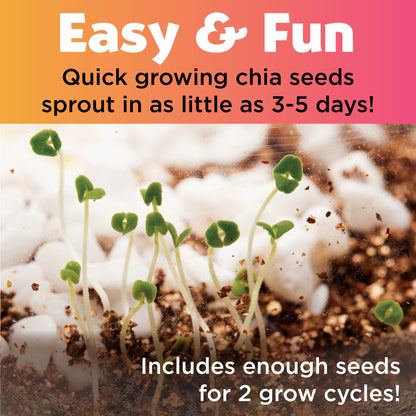 Plant & Grow Unicorn Forest - Little Pickles Toy Store